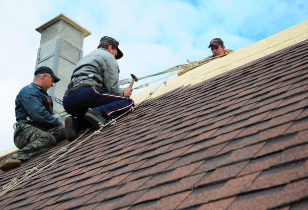 Quick and Trustworthy Emergency Roof Repair Services in Bostonia, CA