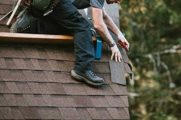 Best Metal Roofing Contractor  in Bostonia, CA